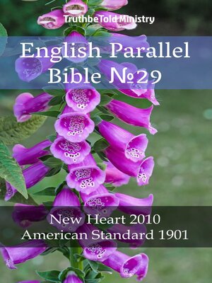 cover image of English Parallel Bible No29